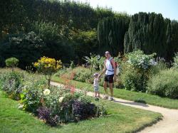 Jardin des plantes.jpg